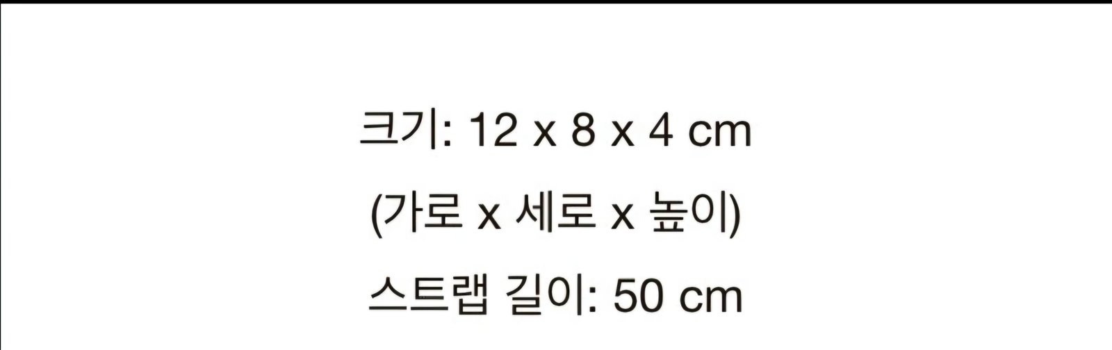 보테가 카세트백